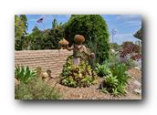 SDBotanic151030526.jpg
