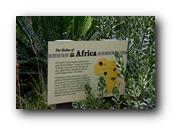 SDBotanic157030526.jpg