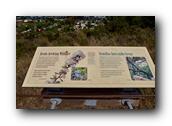 SDBotanic167030526.jpg