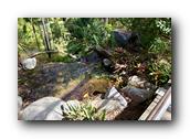 SDBotanic174030526.jpg