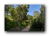SDBotanic177030526.jpg