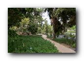SDBotanic189030526.jpg