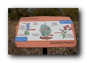 SDBotanic201030526.jpg