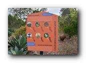 SDBotanic207030526.jpg