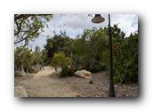 SDBotanic210030526.jpg