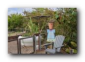 SDBotanic212030526.jpg