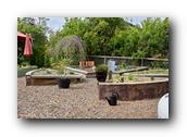 SDBotanic213030526.jpg