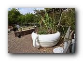 SDBotanic214030526.jpg