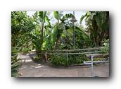 SDBotanic215030526.jpg