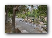 SDBotanic220030526.jpg