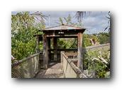 SDBotanic221030526.jpg