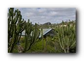 SDBotanic223030526.jpg