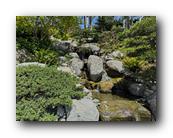 IMG_7846.jpg