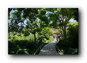 SDJapaneseGarden004030526.jpg