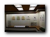 SDJapaneseGarden008030526.jpg