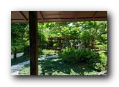 SDJapaneseGarden014030526.jpg