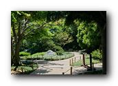 SDJapaneseGarden018030526.jpg