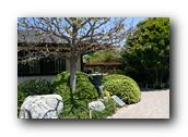 SDJapaneseGarden038030526.jpg
