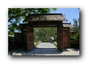SDJapaneseGarden041030526.jpg