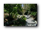 SDJapaneseGarden050030526.jpg