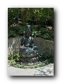 SDJapaneseGarden054030526.jpg