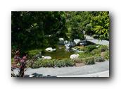 SDJapaneseGarden058030526.jpg