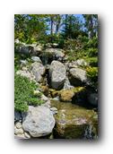 SDJapaneseGarden062030526.jpg