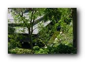 SDJapaneseGarden067030526.jpg