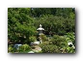 SDJapaneseGarden074030526.jpg