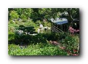 SDJapaneseGarden078030526.jpg