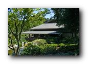 SDJapaneseGarden080030526.jpg