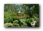 SDJapaneseGarden084030526.jpg