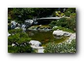 SDJapaneseGarden088030526.jpg