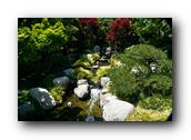 SDJapaneseGarden089030526.jpg