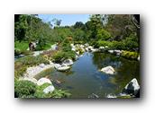 SDJapaneseGarden091030526.jpg