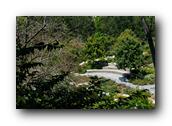 SDJapaneseGarden097030526.jpg