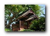 SDJapaneseGarden100030526.jpg