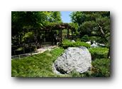 SDJapaneseGarden107030526.jpg