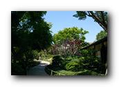 SDJapaneseGarden108030526.jpg