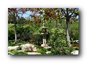 SDJapaneseGarden109030526.jpg