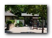SDJapaneseGarden115030526.jpg