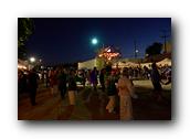 DSC02338.jpg