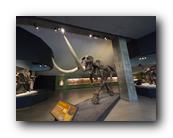 20260311_142656.jpg