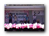 TorranceCherryBlossom001290326.jpg