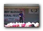 TorranceCherryBlossom077290326.jpg
