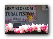 TorranceCherryBlossom100290326.jpg