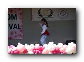 TorranceCherryBlossom106290326.jpg