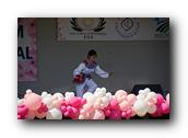 TorranceCherryBlossom109290326.jpg