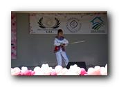 TorranceCherryBlossom116290326.jpg
