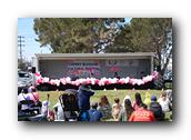 TorranceCherryBlossom137290326.jpg